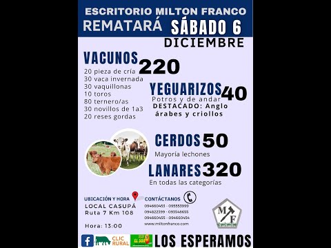 6/12/2025 Local Casupá - Florida - Feria mensual - Milton Franco