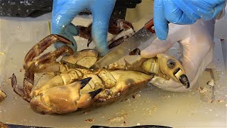 ALIVE CRABs from SCOTLAND - Street Food | Fresh seafood Cooking