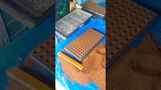 Pro tray nursery technique #seedling_project #shortvideo #futurefarming