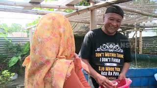 Download lagu Siapa Sangka, Rahasia Dibalik IKAN LELE | Laptop Si Unyil (26/11/18) mp3