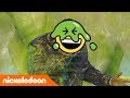 KCA | Top 10 Slimings | Kan jij de ster raden? | Nickelodeon Nederlands