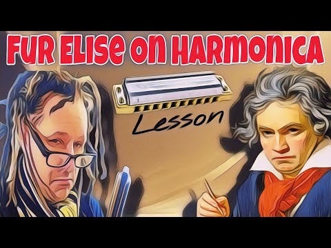 Learn "Fur Elise" Beethoven on Harmonica!