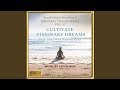 Cultivate Visionary Dreams: High Theta Wave Binaural Beats (feat. Jai Uttal)