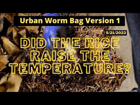 Urban Worm Bag Version 1 - Does Rice Heat Up?? 05/21/2022