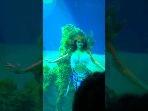 underwater dance mermaid merman - choreography part 4#shorts