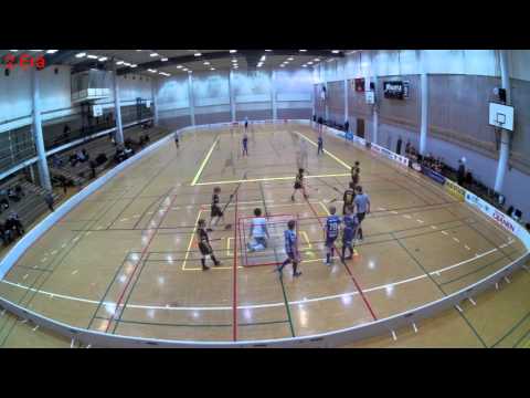 kooste 28.2.2016 Varkaus,(D2) LeBa-96 Spades - SB Welhot Flames 4-11(1-3,2-4,1-4)