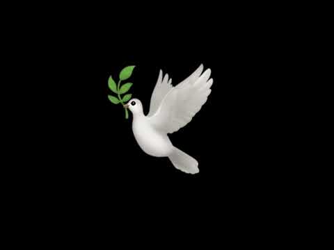 Luis Ake - Frieden auf der Welt