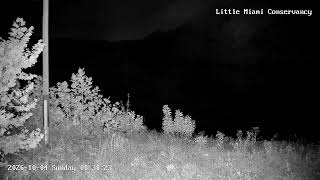 Ohio · PixCams · LMC Osprey Nest live stream