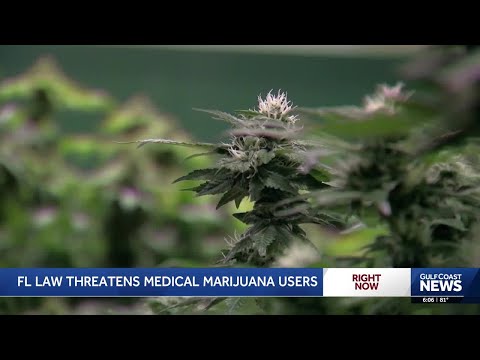 Florida law could strip medical marijuana rights from thousands of patients