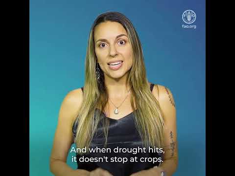 El Niño Is Here: Where Agriculture is Most at Risk