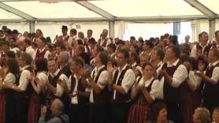 preview picture of video 'Kreismusikfest Hauerz / Fahneneinmarsch (4) / Alte Kameraden'