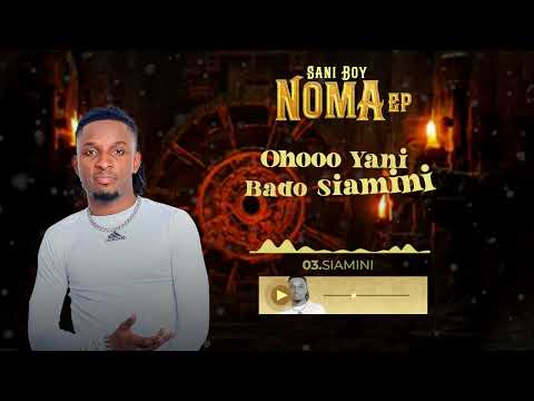 Sani Boy- Siamini (Track No 3) 