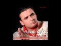 Liviu Guta - Asa ca poti pleca (Audio oficial ...