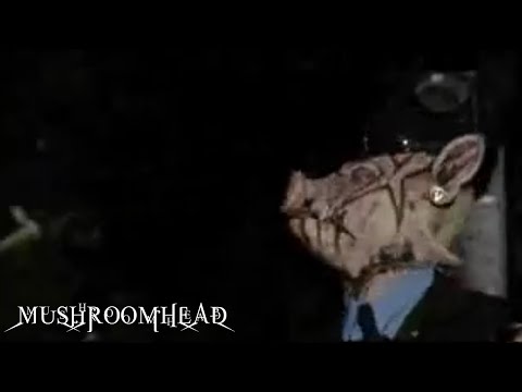 Video thumbnail for Damage Done