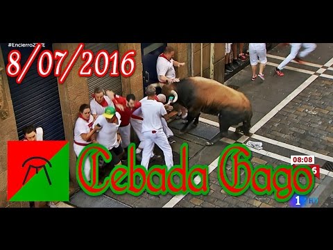 2º Segundo Encierro SAN FERMÍN 2016 - Cebada Gago (8/07/2016)