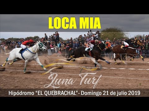 HIP. "EL QUEBRACHAL" EN CHAMICAL 21/07/2019 - LOCA MÍA, PLUMAS VERDES Y YONI