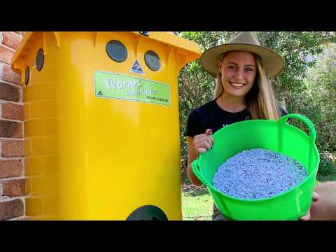 Worm Farm Tips: Worms love paper!