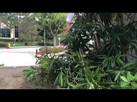 download lagu mp3 mp4 Austin Elliott, download lagu Austin Elliott gratis, unduh video klip Austin Elliott