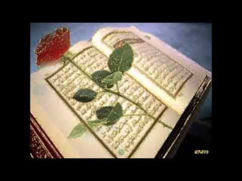 Senin Ravzan Güzel Kokar.