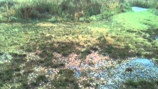 IMG 04061