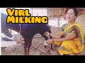 Viral Milking