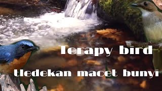 Download lagu terapi air mengalir tledekan macet bunyi ,tldekan bahan , srdc,dg jeda mp3