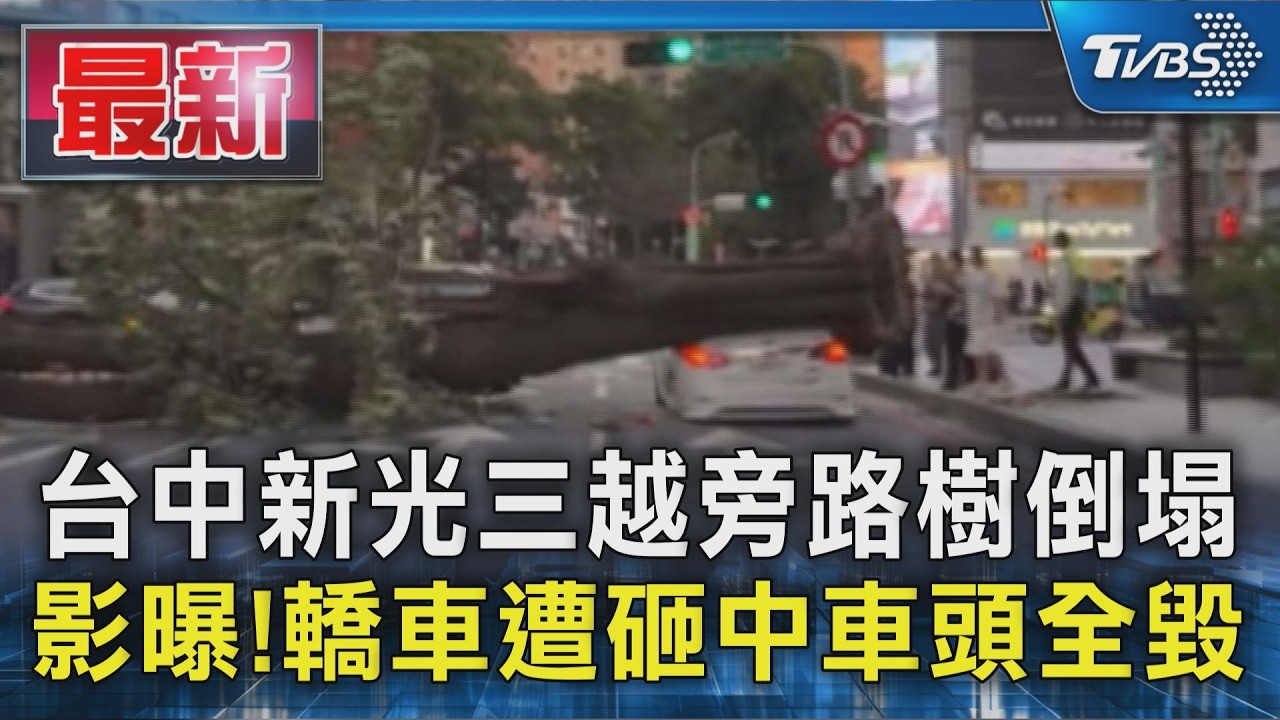 台中新光三越旁路樹倒塌 影曝!轎車遭砸中車頭全毀｜TVBS新聞 @TVBSNEWS01