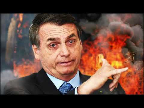 Amazon Burning. The UN must take control of the destruction of the Amazon Forest