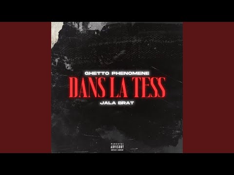 Video thumbnail for Dans la tess