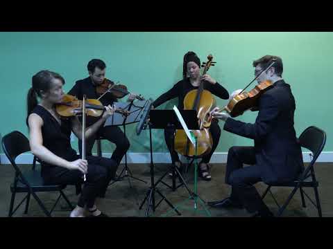 Promotional video thumbnail 6 for Classic-Jazz Cellist