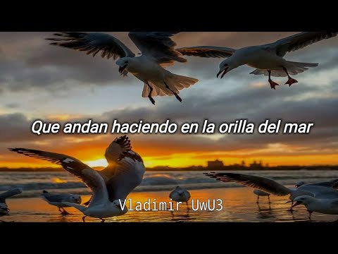Los Caminantes - Las Gaviotas // Letra