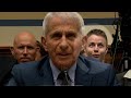 Jan. 6 Rioter Makes Faces Behind Fauci During House Hearing