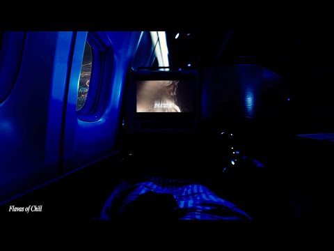First (1st) Class Airplane White Noise Ambience | Flight Attendant | Call Dings | Read, Study, Sleep