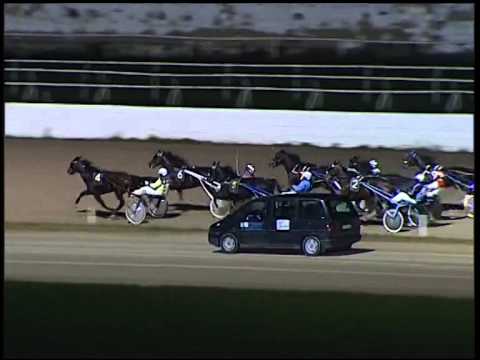 Trotto 30/10/2014 - 6° corsa