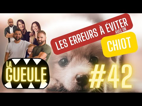 La GUEULE #42 - Les Erreurs à éviter avec un CHIOT !