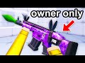 I Got OWNER ONLY Weapons In Rivals