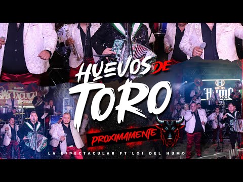 Huevos De Toro  @LosDelHumoOficial FT.@bandalaespectacular