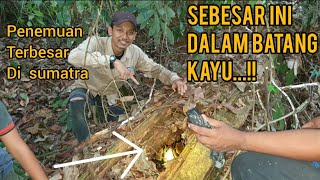 Download lagu SECONDS OF THE APPEARANCE OF THE LARGEST PYTHON SNAKE IN INDONESIA, WOW, THIS IS CRAZY, THIS IS REAL mp3 Download lagu SECONDS OF THE APPEARANCE OF THE LARGEST PYTHON SNAKE IN INDONESIA, WOW, THIS IS CRAZY, THIS IS REAL mp3