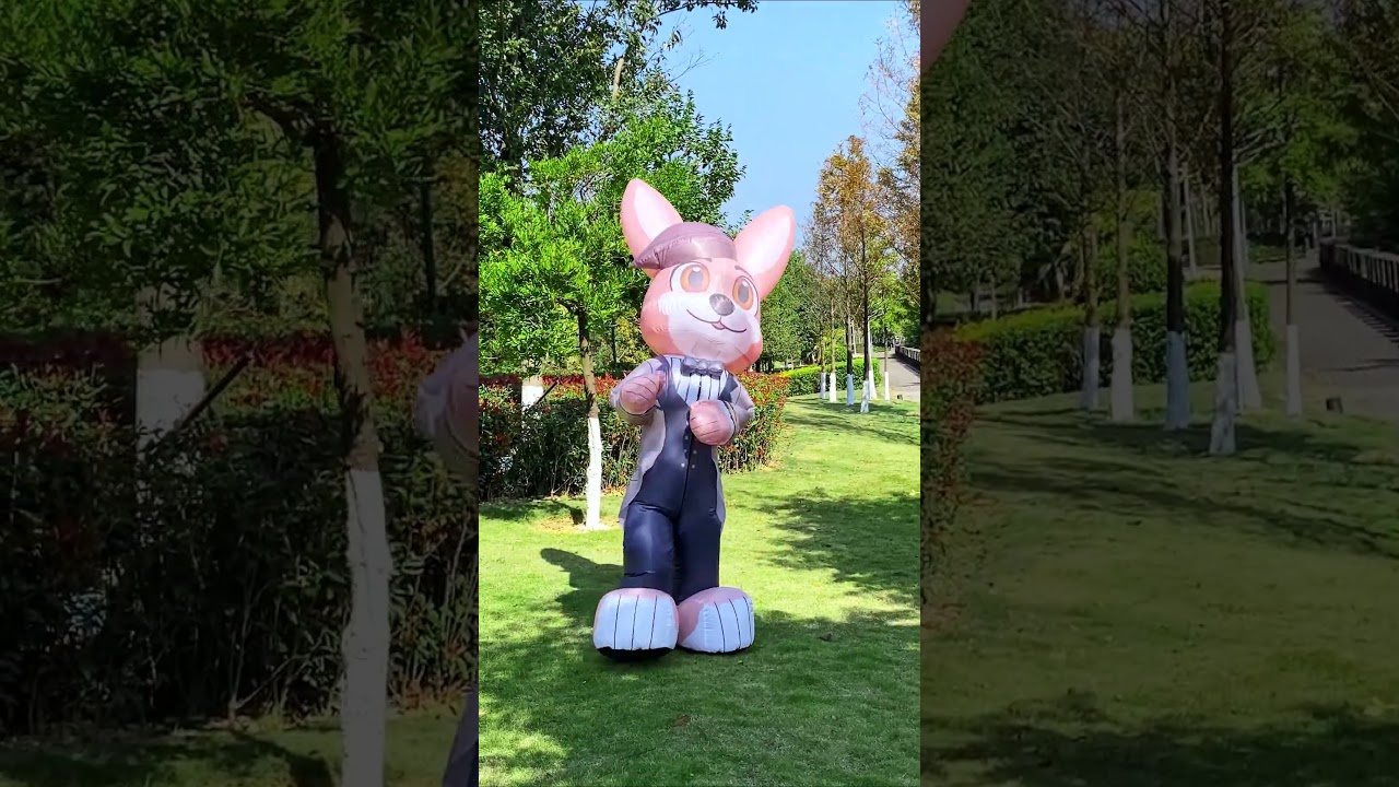 Video Placeholder