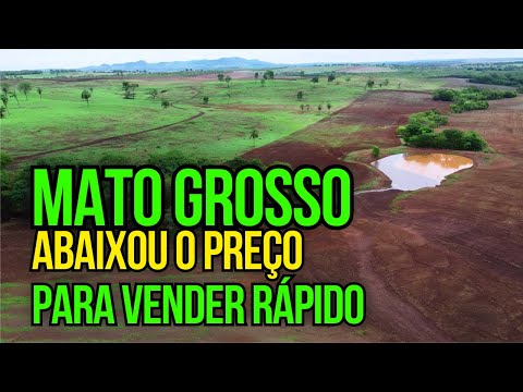 BAIXOU O PREÇO: FAZENDA DE DUPLA APTIDÃO À VENDA NO MATO GROSSO
