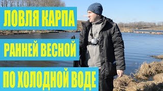 Клев карпа ранней весной