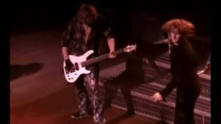 Def Leppard - Wasted (Live)