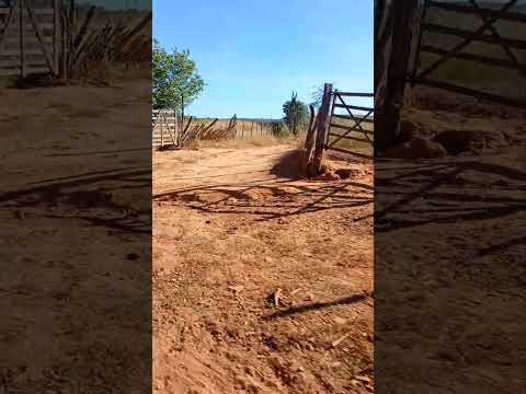 SÍTIO MOSQUIADO CANTO DO BURITI PIAUÍ