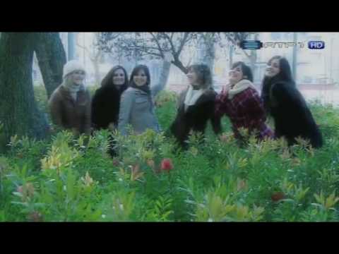 Seis Po' Meia Dúzia - Apresentação