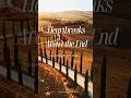 Sometimes Life Detours You For A Reason Inspiring Short Video Shorts Motivation Life