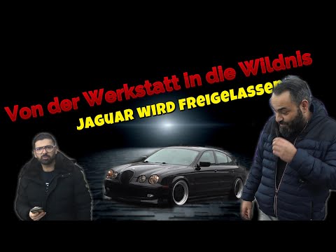 Freshly painted, freshly unleashed. Jaguar on its first drive.