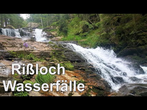 Rißloch Wasserfälle, die größten Wasserfällen im Bayerischen Wald, Rundweg Wanderung