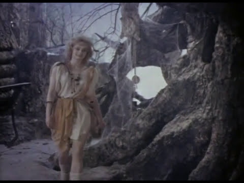 «Чёрный ворон в небе». Песня из музыкального фильма «Она с метлой, он в чёрной шляпе».