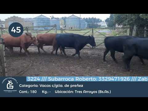 Lote Vc CGP - Tres Arroyos Bs As