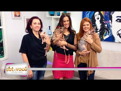 SBT e Você 07/08/17 na íntegra | Gatos exóticos